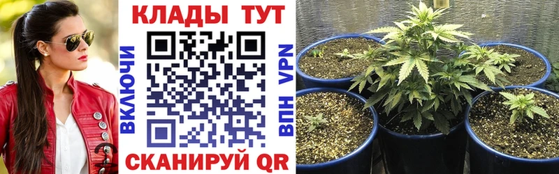 Как найти наркотики Вяземский A-PVP  Амфетамин  Псилоцибиновые грибы  Кокаин  mega маркетплейс  Канабис  Гашиш 
